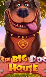 The Big Dog House